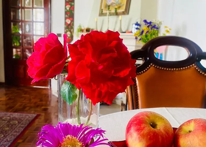 فندق مبيت وإفطار Spray Sitio In Nazare, European Style *