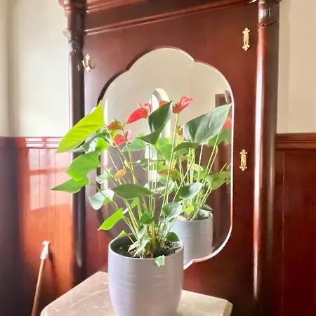 Spray Sitio In Nazare, European Style Bed & Breakfast *