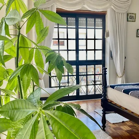 Spray Sitio In Nazare, European Style Nazaré