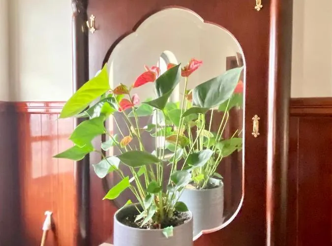 Spray Sitio In Nazare, European Style לינה וארוחת בוקר *