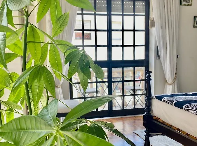 Spray Sitio In Nazare, European Style נאזרה